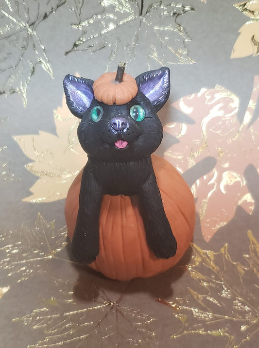 Black Cat Pumpkin OOAK Halloween Sculpture